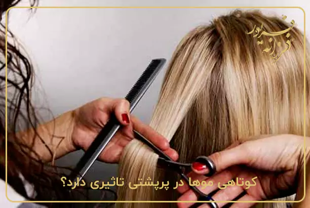 کوتاهی موها در پرپشتی تاثیری دارد؟