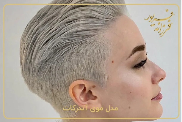 مدل موی آندرکات