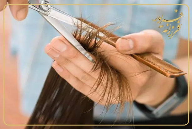 پرپشتتر و حجیمتر شدن موها: