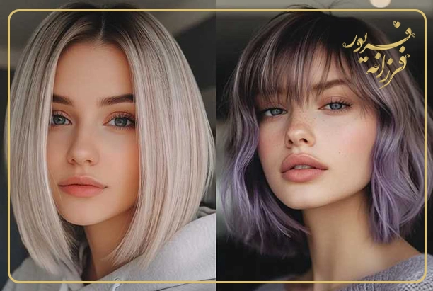 پیکسی بلند گرگی (Long Fluffy Pixie)